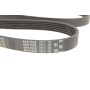 Ремінь генератора Infiniti FX/M45/Lexus GS/Mitsubishi Outlander 1.8-4.5 93-