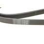 Ремінь генератора Peugeot 206/406/806/Expert/Fiat Scudo/Citroen C5/C8/Jumpy 1.9D/2.0HDI 95-