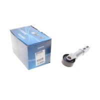 Натяжник ременя генератора Renault Megane/Scenic 1.9 dCi 97-03