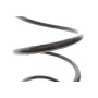 Пружина (передня) Renault Scenic III/Grand Scenic III 1.5dCi/1.6dCi/1.9dCi/2.0 16V 09-