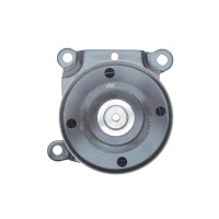 Натяжник ременя генератора Citroen Jumper 2.2HDI/Ford Transit 2.2DI 06- (+AC)