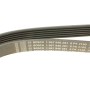 Ремінь генератора MB Vito (W638) 2.2CDI (OM611) (6PK2160)