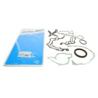Комплект прокладок (нижній) Audi A4/A6/A8/Skoda Superb/VW Passat 2.5 TDI 97-08