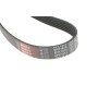 Ремінь генератора Audi/BMW/Chevrolet/MB/Opel (6PK1875)
