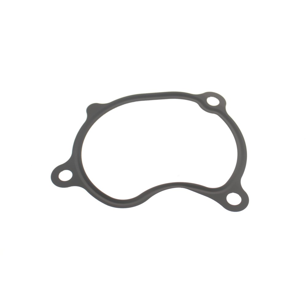 Прокладка корпусу колектора впускного Renault Laguna 3.5 V6 08-15