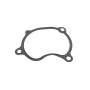 Прокладка корпусу колектора впускного Renault Laguna 3.5 V6 08-15