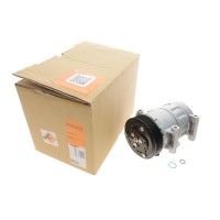 Компресор кондиціонера Renault Grand Scenic II/Megane II 1.9dCi/2.0 02-09
