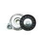 Натяжник ременя генератора Volvo S60/S80/XC60 07-