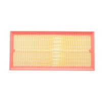 Фільтр повітряний Land Rover Discovery 2.0Td/3.0D/3.0/5.0/Range Rover/Sport 3.0/D/TD/4.4D/5.0 09-