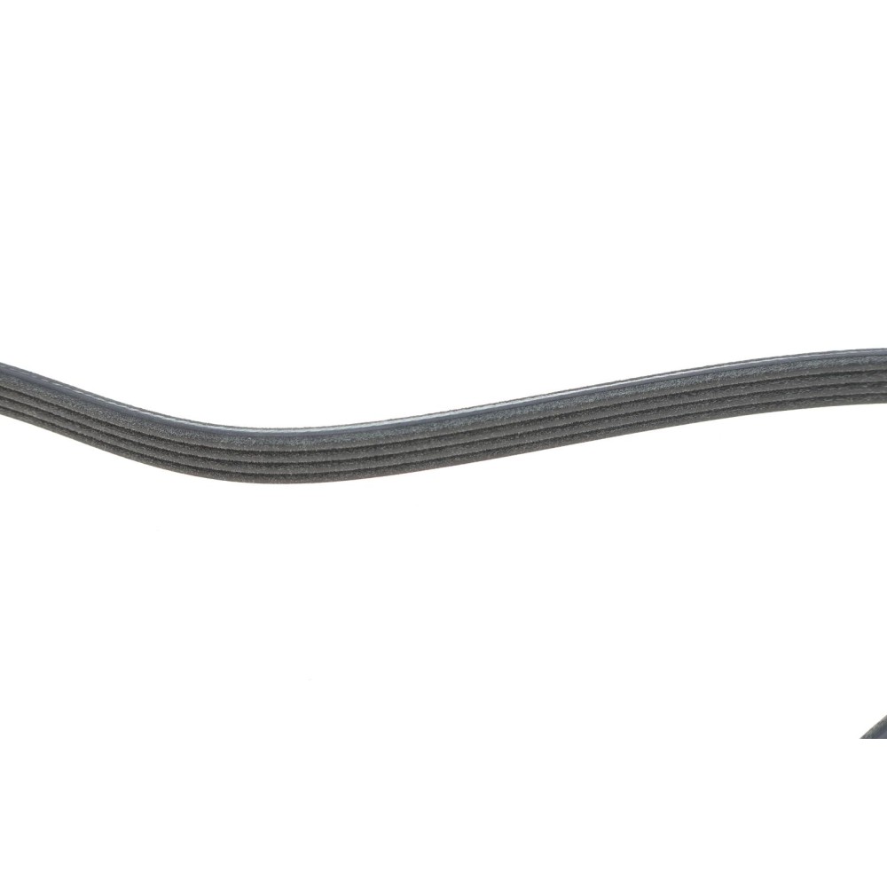 Ремінь генератора BMW 3 (E46)/X3 (E83) 01-07 M47 D20/Fiat Stilo 1.6 16V 01-08