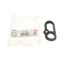 Прокладка кришки клапанів Land Rover Defender/Discovery/Range Rover 3.0/5.0 09- (L)