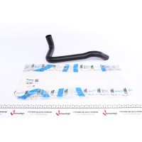 Патрубок радіатора (нижній) Renault Megane II/Scenic II 1.4-1.6 03-/Peugeot Expert 2.0HDI 00-06