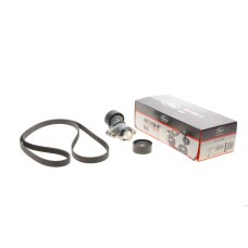 Комплект ременя генератора Renault Megane/Scenic 1.4/1.6 00-09 (5PK1750)
