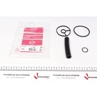 Прокладка радіатора масляного Citroen Jumpy/Fiat Scudo/Peugeot Expert 2.0 HDI 09- (к-кт)