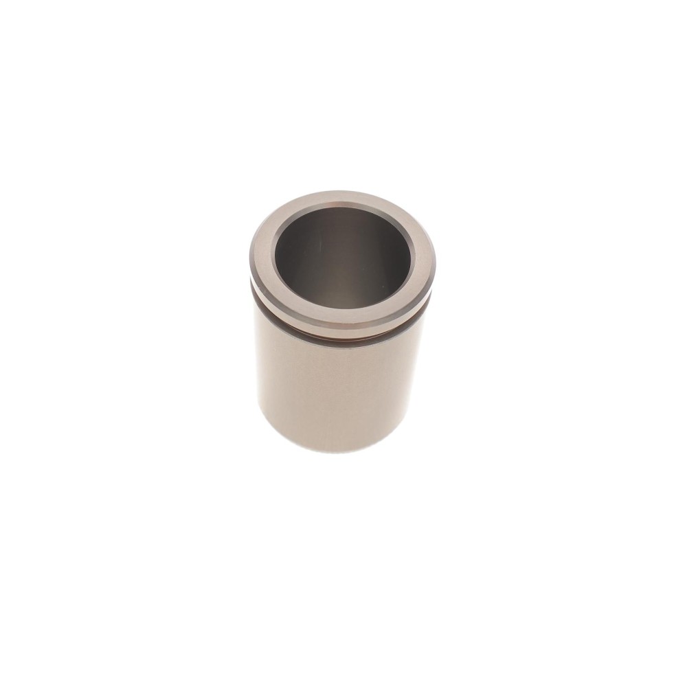 Поршень супорта (переднього) Audi A4/A6/VW Passat B5 96-05 (43x55.2mm)