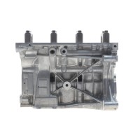 Блок циліндрів Renault Sandero II 1.0 12V 17- (B4D)