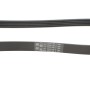 Ремінь генератора MB A-Class (W169)/B-class (W245) 2.0 CDI (OM640) 04-12