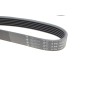 Ремінь генератора Renault Megane I/Ford Transit 2.0 94-00 (6PK1650)