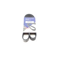 Ремінь генератора BMW 3 (F30)/5 (F10) 11-16 (N55B30A) (8PK942)