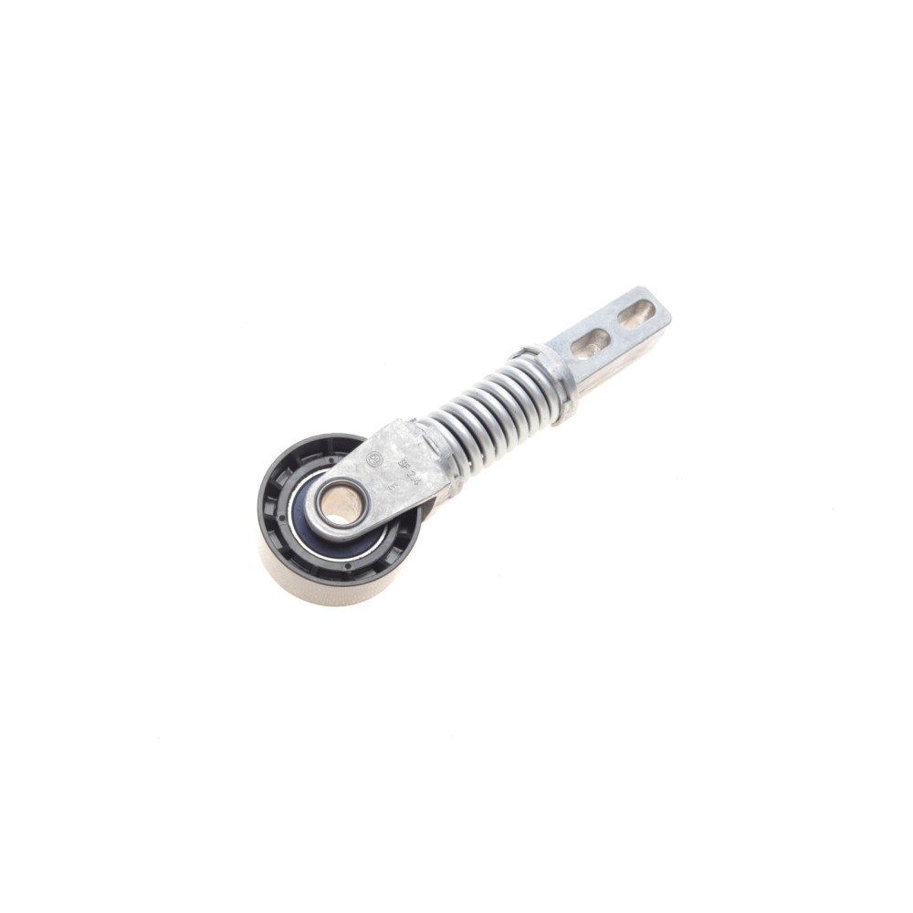 Натяжник ременя генератора Renault Megane/Scenic 1.9 dCi 97-03