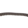 Комплект ГРМ + ПНВТ VW LT 2.5TDI 61-80kw 96- /T4 2.5TDI 75kw 95-