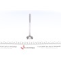 Клапан (впуск) Opel Astra F/G/Vectra A 1.6D/1.7D 82-00 (36x8x123.2) (вальцювання)