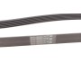 Ремінь генератора Opel Vectra/Astra G 2.0/2.2 DTI 00-05/Renault Koleos 2.5 08-