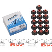 Сальник клапана (впуск/випуск) Renault Trafic II/Renault Kangoo 01- (5.5x11/28x16.4) (к-кт 16 шт.)