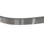 Ремінь генератора Ford Focus/Fiesta/Fusion/Mazda 2 1.25-1.6 98- (6PK1042)