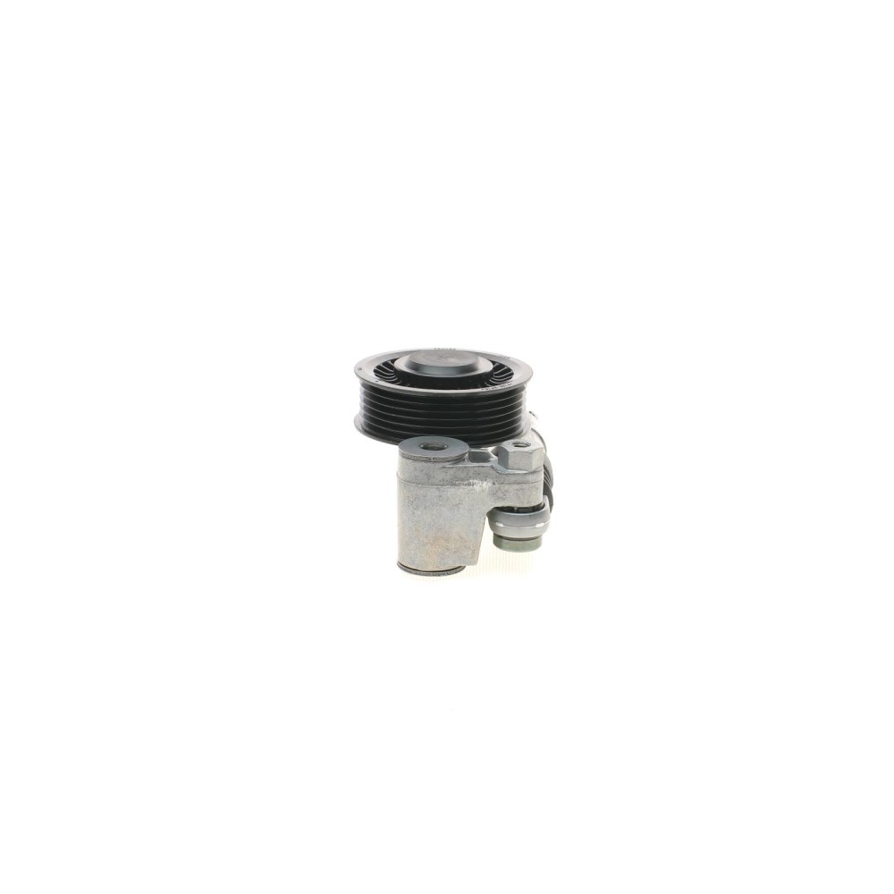 Натяжник ременя генератора VW Crafter 2.5TDI 06-09 (кивачка), BJJ/BJK/BJL/BJM