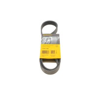 Ремінь генератора Renault Megane/Scenic 1.9dCi/2.0 03-/Nissan Juke 1.6 10-