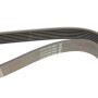 Ремінь генератора BMW 7 (E65) 4.0/4.5D 02-08/Honda Accord/Civic 2.0 01-08