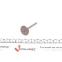 Клапан (випуск) VW Caddy/Golf/Polo 1.6 (34.6x7x94.8) (азотування)