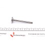 Клапан (впуск) VW Caddy/T3 1.6D/1.7D 81-92 (34x8x104.9) (азотований)