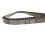 Ремінь генератора VW Amarok/Kia Sorento/Fiat Freemont 2.0/2.4/2.4 CVVT/3.0TDI 09-