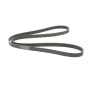 Ремінь генератора Peugeot 206/406/806/Expert/Fiat Scudo/Citroen C5/C8/Jumpy 1.9D/2.0HDI 95-