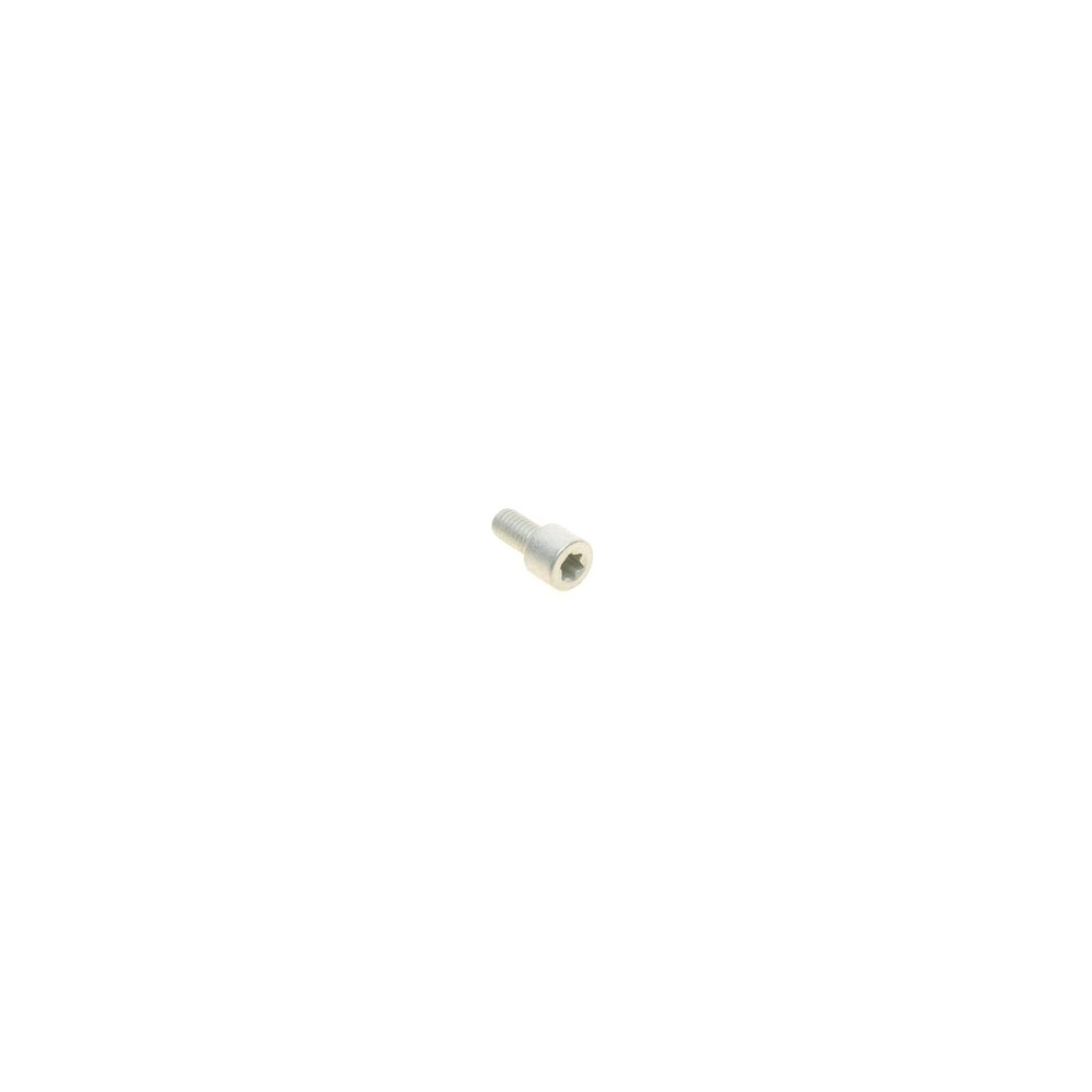 Електродвигун супорта гальмівного (заднього) Volvo S60 15- (d=38mm)(TRW)