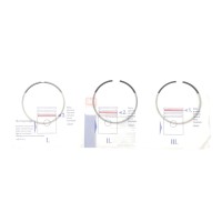 Кільця поршневі Fiat Doblo 1.6D 10- (79.50mm/STD) (1.5-1.5-2)