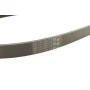 Ремінь генератора Citroen Nemo/Fiat Fiorino/Peugeot 206 1.4/1.8 03- (6PK1225)