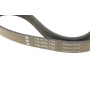 Ремінь генератора Citroen Jumper/Fiat Ducato/Peugeot Boxer 2.0 94- (6PK700)