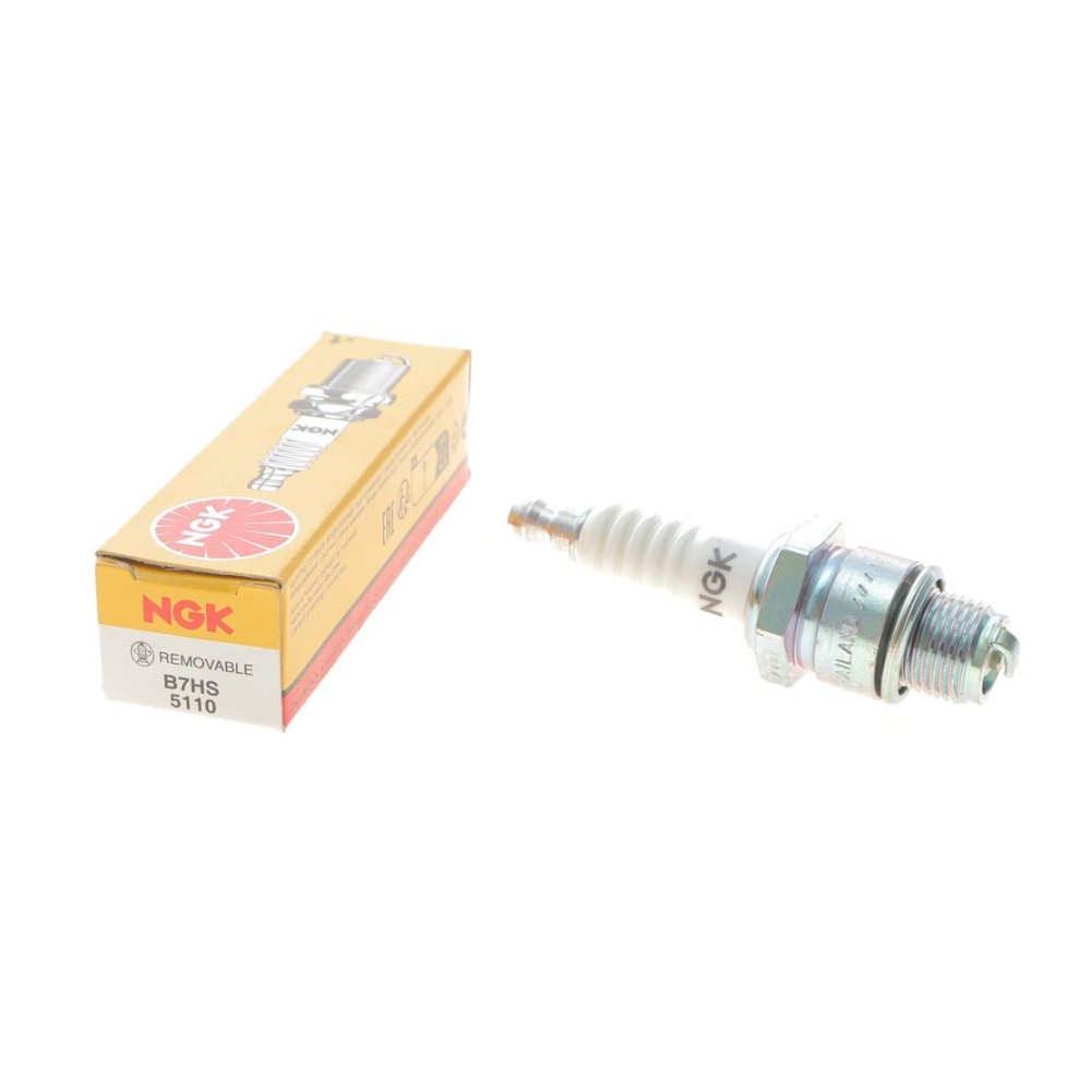 Свічка запалювання BMW/Citroen/Ducati/Peugeot/Renault/Suzuki/Yamaha (B7HS)