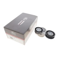 Натяжник ременя генератора Ford Focus 1.8 TDCi 04-12
