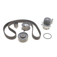 Комплект ГРМ Audi A3/A4/A6/Skoda Octavia/VW Golf V/Passat/Touran 2.0TDI 03- (30x141z)