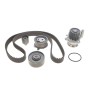 Комплект ГРМ Audi A3/A4/A6/Skoda Octavia/VW Golf V/Passat/Touran 2.0TDI 03- (30x141z)
