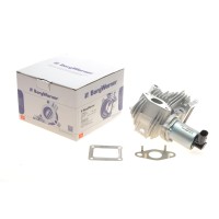Клапан EGR Renault Megane II/Laguna II/Scenic II 1.9dCi 03-