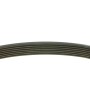 Ремінь генератора Renault Megane/Scenic 1.9dCi/2.0 03-/Nissan Juke 1.6 10- (7PK1125)