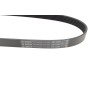 Ремінь генератора VW Golf/Skoda Octavia 2.0i 04-13/Mazda 2/3 1.5 13-/Kia Ceed 1.4/1.6 07- (6PK955)