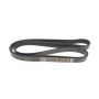 Ремінь генератора VW LT 28-35 2.5 SDI 96-06 (8PK2482)