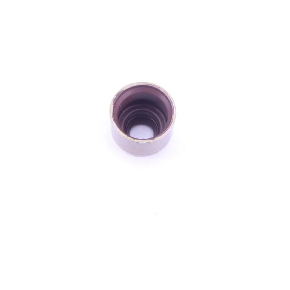 Сальник клапана (впуск/випуск) Renault Kangoo 1.2 TCe 13- /Laguna III 2.0 16V (к-кт 16шт), H5F/M4R