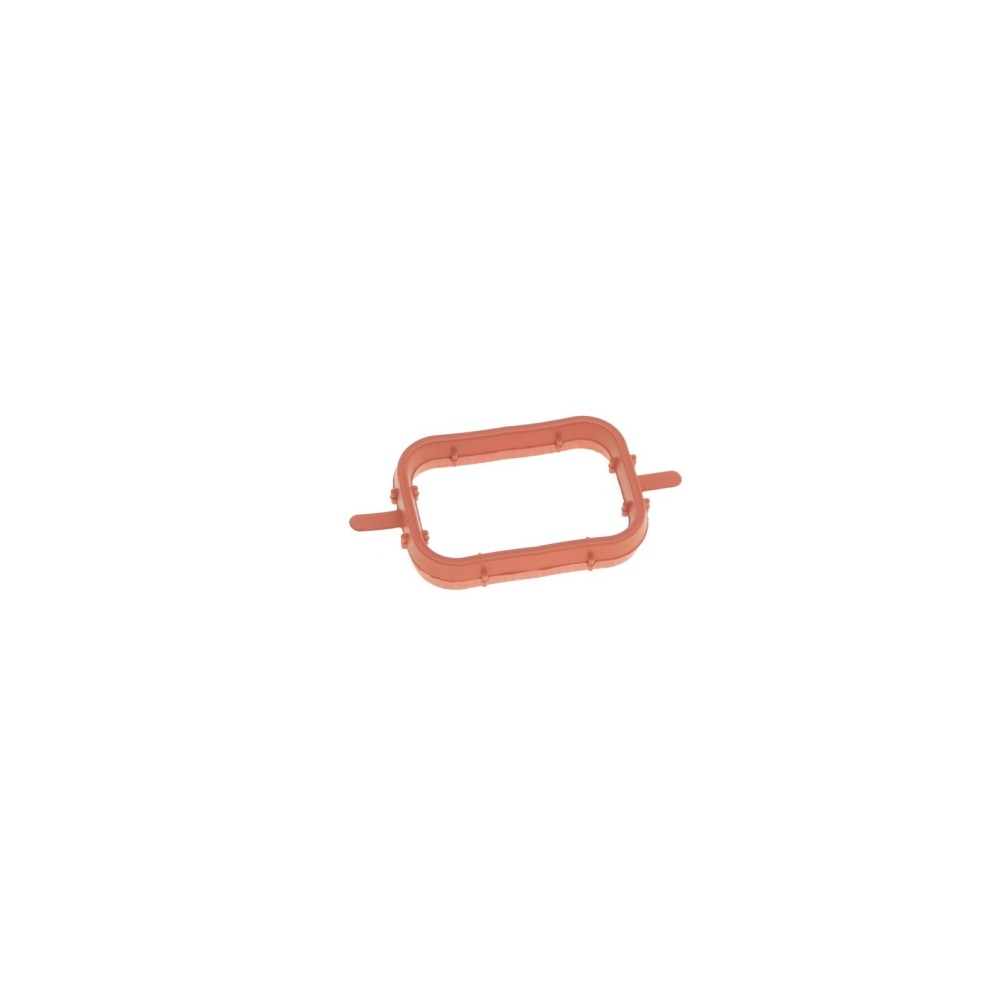 Прокладка колектора впускного BMW 3 (E46)/5 (E39/E60) 2.0/2.0 d 98-11/Opel Omega B 2.5 DTI 01-03